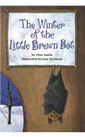 The Winter of the Little Brown Bat