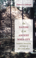 Nature of an Ancient Maya City