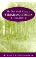 The New South Comes to Wiregrass Georgia, 1860-1910