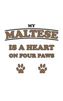 My Maltese is a heart on four paws