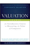 Valuation Course: An Introductory Course to Measuring the Value of Companies