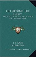 Life Beyond The Grave