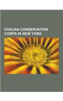 Civilian Conservation Corps in New York: Taconic State Parkway, Allegany State Park, Green Lakes State Park, Beaverkill Bridge, Harriman State Park, S(English)