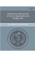 Expression and Function of Rest in Oligodendrocyte Lineage Cells