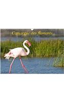 Camargue Des Flamants 2018: La Camargue, Ses Flamants Et Ses Ciels Magnifiques Et Changeants.(Calvendo Animaux)