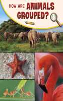 How Are Animals Grouped?: (Science Enquiry)