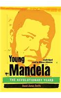 Young Mandela: The Revolutionary Years