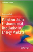 Pollution Under Environmental Regulation in Energy Markets