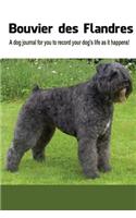 Bouvier des Flandres: A dog journal for you to record your dog's life as it happens! (Blank Book)
