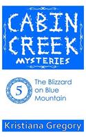 Blizzard on Blue Mountain