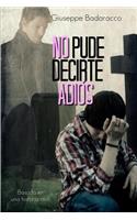 No pude decirte adios