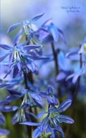 Siberian Squill Journal: (Blank Book, Notebook, Diary)