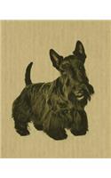 Scottish Terrier