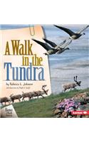 A Walk in the Tundra