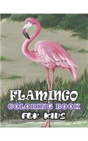 Flamingos Coloring Book: (Volume 1)