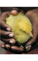 Safe Hands Holding a Little Chick Dot Grid Bullet Journal