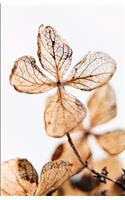 The Botanical Collection