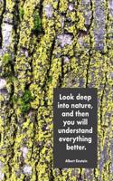 Look Deep Into Nature, and Then You Will Understand Everything Better. Albert Einstein