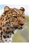 Leopard Notebook