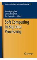 Soft Computing in Big Data Processing: (271 Advances in Intelligent Systems and Computing)