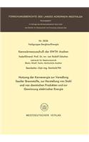 Nutzung Der Kernenergie Zur Veredlung Fossiler Brennstoffe, Zur Herstellung Von Stahl Und Von Chemischen Produkten Und Zur Gewinnung Elektrischer Energie