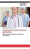 Causas de Muerte Fetal En Gestantes