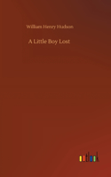 Little Boy Lost