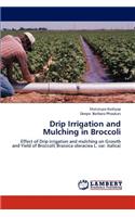 Drip Irrigation and Mulching in Broccoli