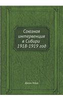 &#1057;&#1086;&#1102;&#1079;&#1085;&#1072;&#1103; &#1080;&#1085;&#1090;&#1077;&#1088;&#1074;&#1077;&#1085;&#1094;&#1080;&#1103; &#1074; &#1057;&#1080;&#1073;&#1080;&#1088;&#1080; 1918-1919 &#1075;&#1086;&#1076;: (Russian)