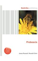 Proboscis: (English)