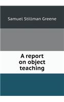 A Report on Object Teaching