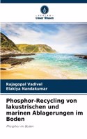 Phosphor-Recycling von lakustrischen und marinen Ablagerungen im Boden