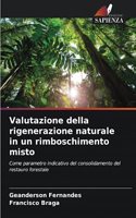 Valutazione della rigenerazione naturale in un rimboschimento misto