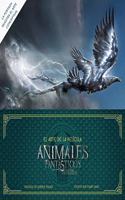 El arte de Animales fantasticos y donde encontrarlos. La pelicula
