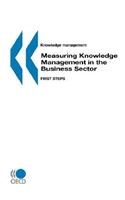 Knowledge management Measuring Knowledge Management in the Business Sector