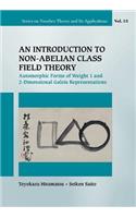 Introduction to Non-Abelian Class Field Theory, An: Automorphic Forms of Weight 1 and 2-Dimensional Galois Representations