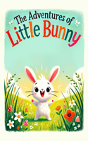 The Adventures of Little Bunny