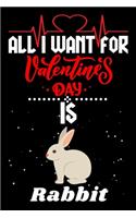 All I Want for Valentine's Day Is Rabbit