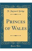 Princes of Wales (Classic Reprint)