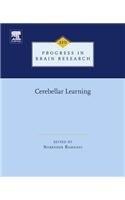 Cerebellar Learning