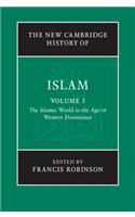 The New Cambridge History of Islam