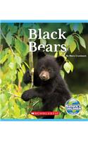 Black Bears (Nature's Children)