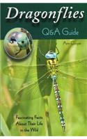 Dragonflies: Q&A Guide