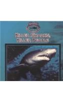 Killer Sharks, Killer People