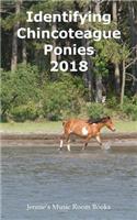 Identifying Chincoteague Ponies 2018