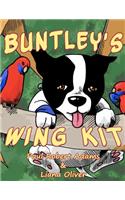 Buntley's Wing Kit