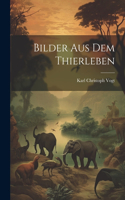 Bilder Aus Dem Thierleben