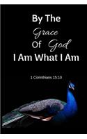 By The Grace Of God I Am What I Am 1 Corinthians 15