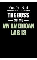 You're not the Boss of Me My American Lab Is