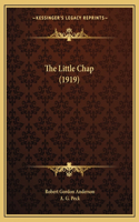 Little Chap (1919)